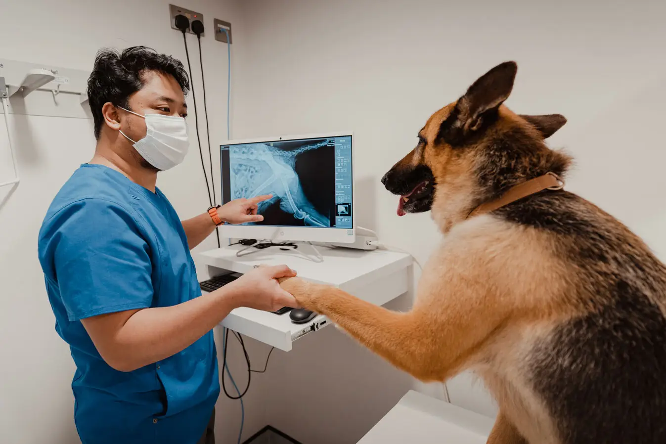 X ray services in Doha, Qatar.